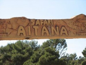 Safari-Aitana